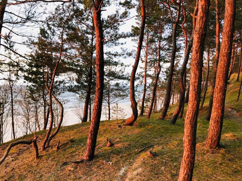 Domki Skowronki Kąty Rybackie Esterno foto