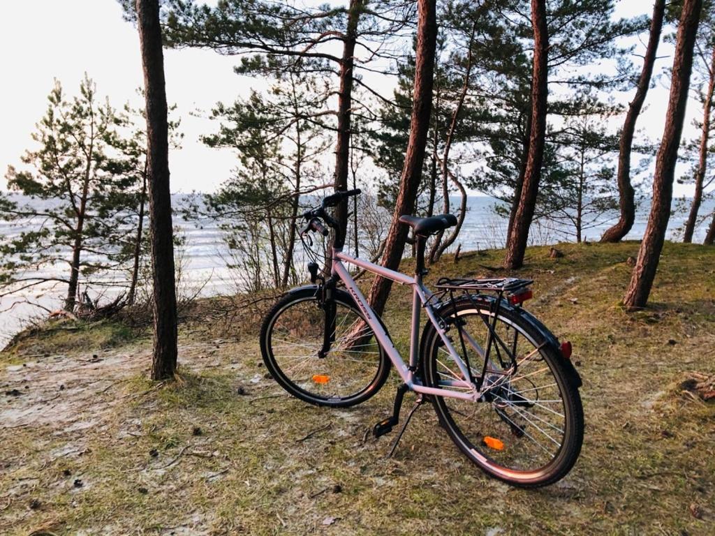 Domki Skowronki Kąty Rybackie Esterno foto
