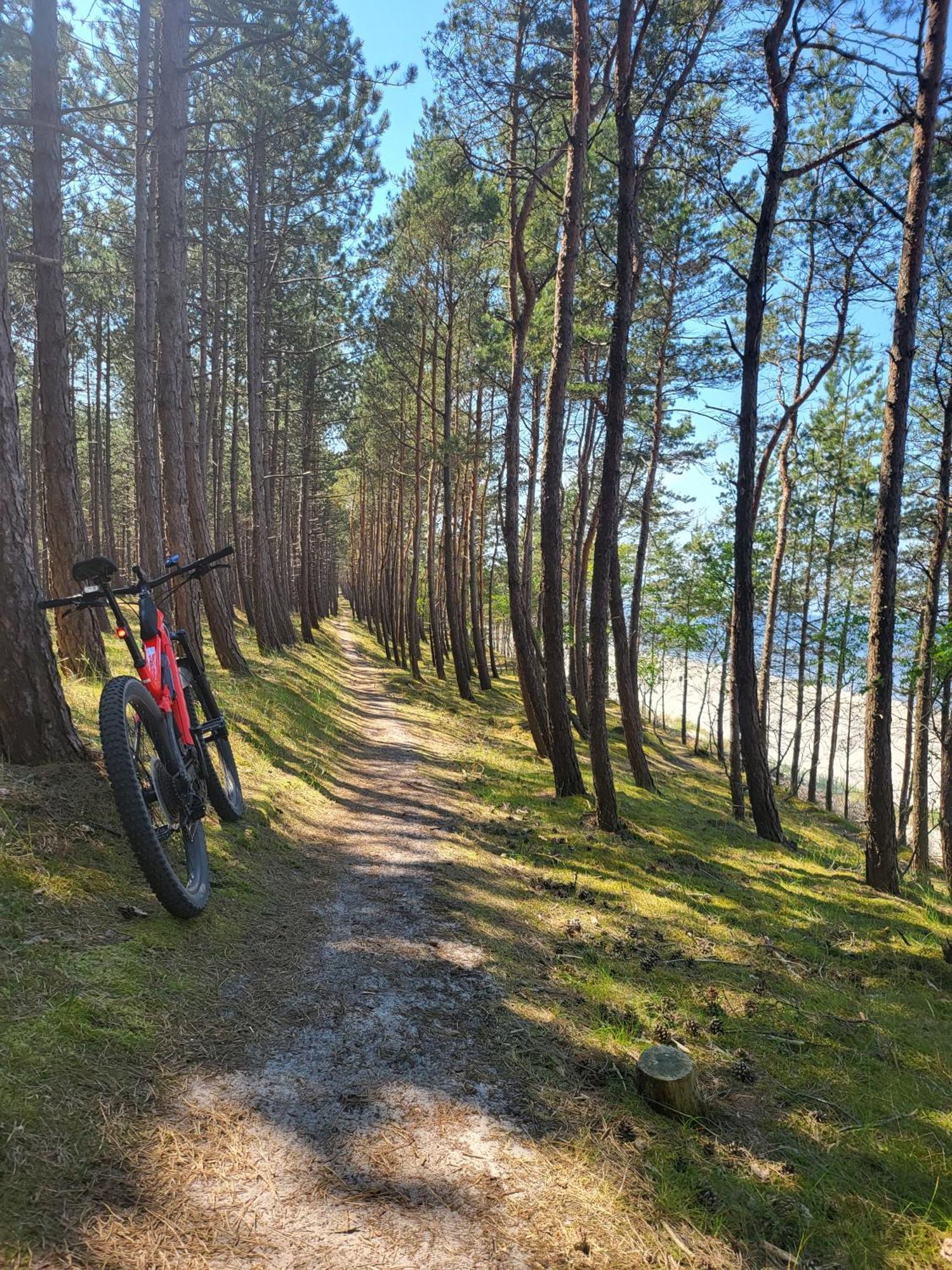 Domki Skowronki Kąty Rybackie Esterno foto